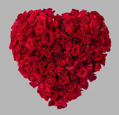 Sonja Blomster - 20210914-E___0029