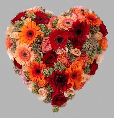 Sonja Blomster - 20210914-E___0031[1]